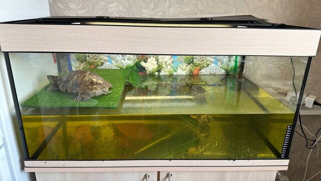 photo_2023-06-02 13.49.49.jpeg