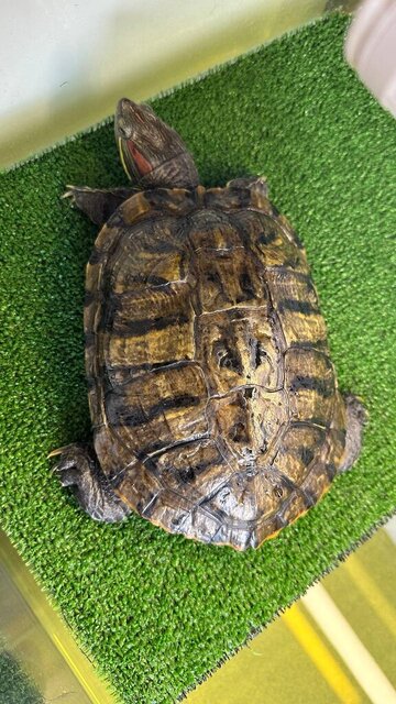 photo_2023-06-02 13.49.47.jpeg