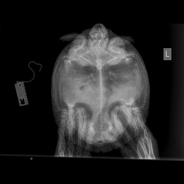 photo_2023-08-03_20-38-03 (2).jpg