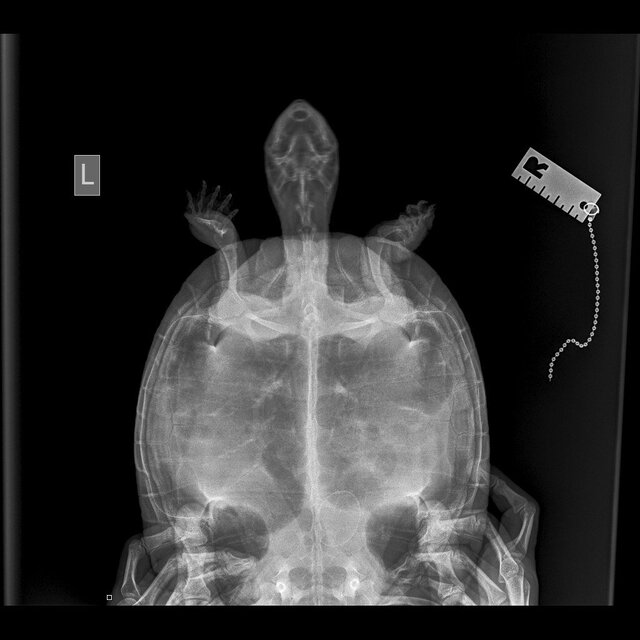 photo_2023-08-03_20-38-03 (3).jpg