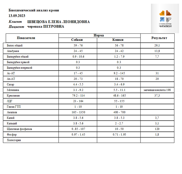 Швецова череп Петровна БХК 13.09.23г.png