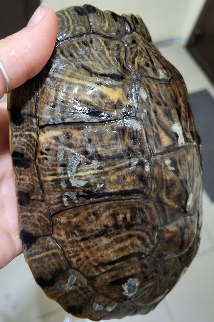 20230921_222333-min (1).jpg