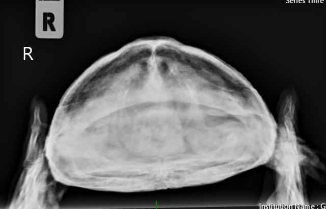 Швецова ч Петровна2.PNG