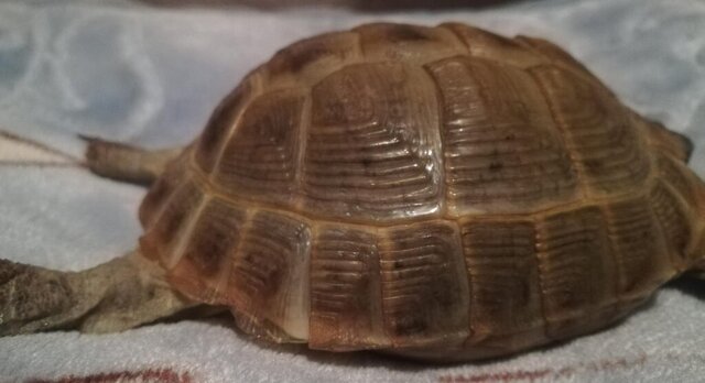 WhatsApp Image 2023-10-04 at 15.55.37.jpeg