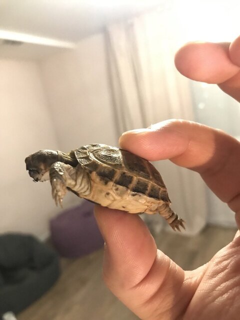 photo1698250174 (6).jpeg