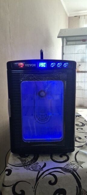 Изображение WhatsApp 2023-10-07 в 23.26.51_ea198653.jpg