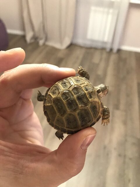 photo1698250174 (1).jpeg