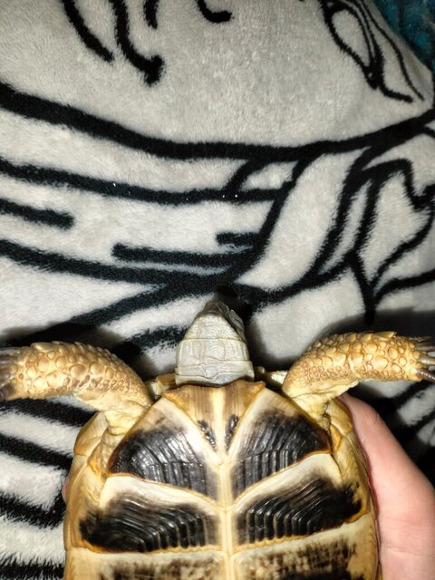 WhatsApp Image 2023-10-29 at 19.04.40.jpeg