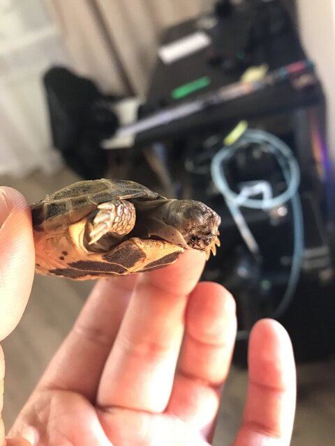 photo1698250174 (4).jpeg