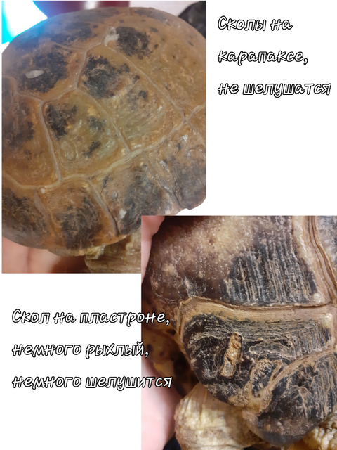 Без названия6_20231026233324.png