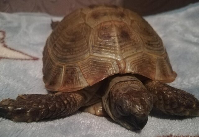 WhatsApp Image 2023-10-04 at 15.55.36 (1).jpeg