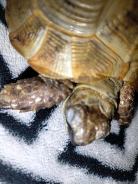 WhatsApp Image 2023-10-29 at 19.04.40 (1).jpeg