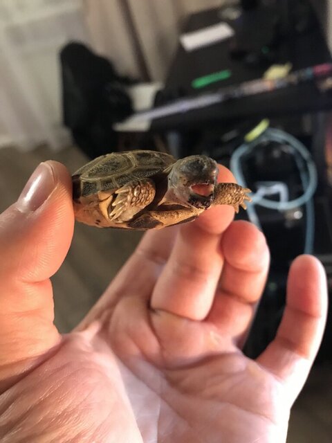 photo1698250174 (7).jpeg