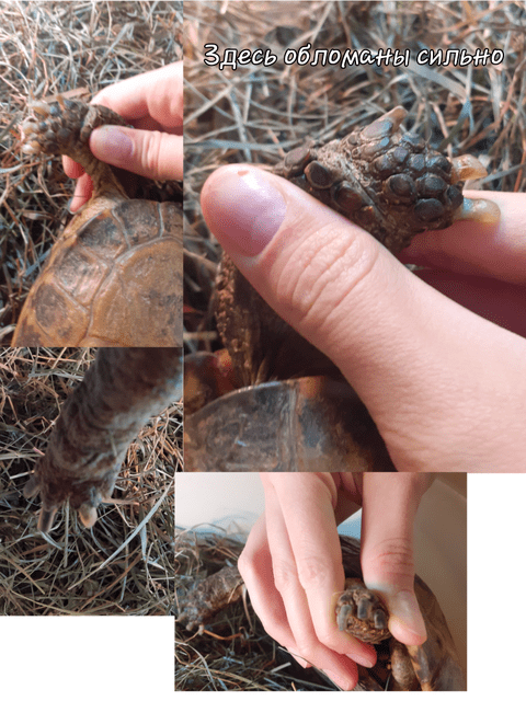 Без названия3_20231026231809.png