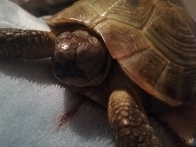 WhatsApp Image 2023-10-04 at 15.55.37 (2).jpeg