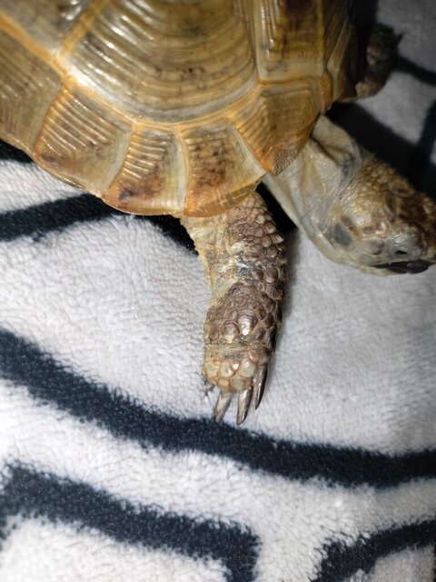 WhatsApp Image 2023-10-29 at 19.04.39.jpeg