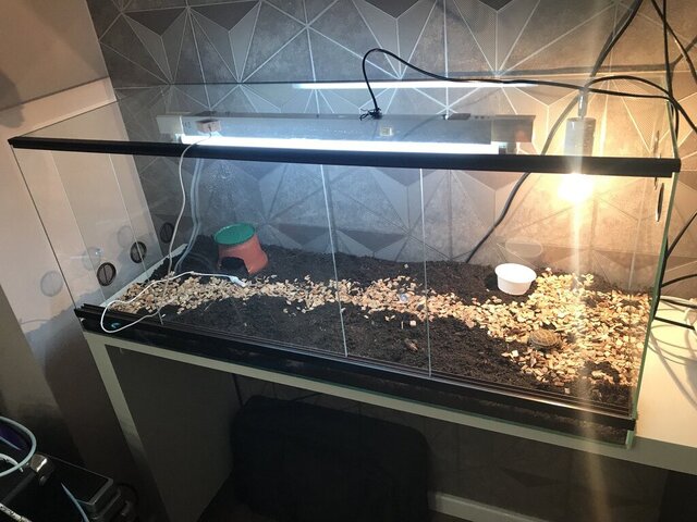 photo1698250174 (3).jpeg