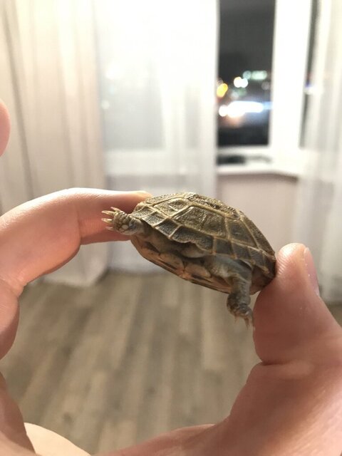 photo1698250174 (2).jpeg