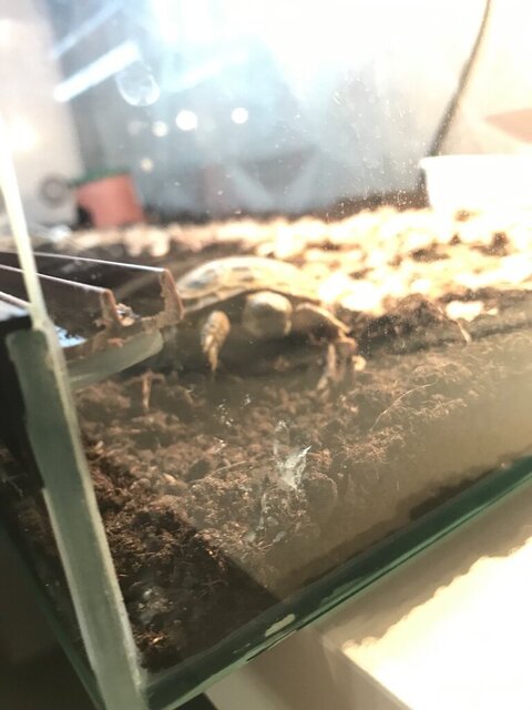 photo1698250174 (8).jpeg