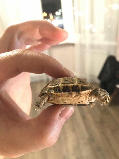 photo1698250174 (5).jpeg