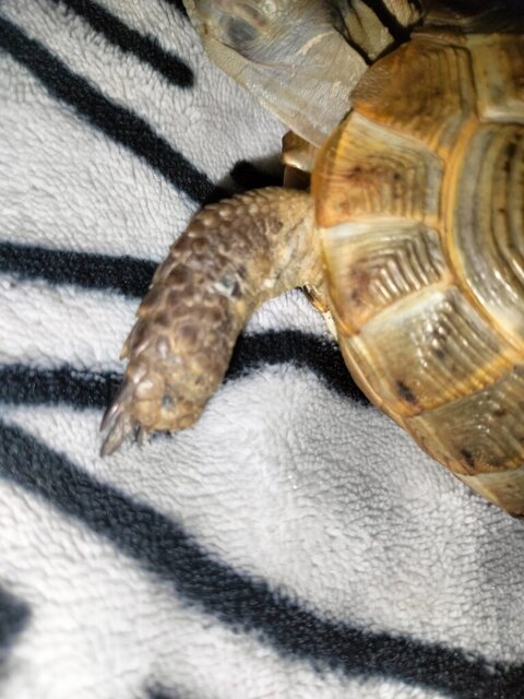 WhatsApp Image 2023-10-29 at 19.04.39 (1).jpeg