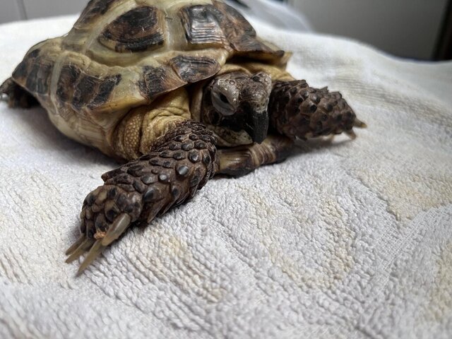 66B9F100-5FC1-427D-A946-F8A88EBDEA2C (wecompress.com).jpeg