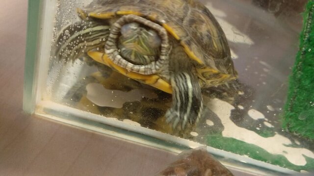 WhatsApp Image 2023-11-15 at 23.54.17.jpeg