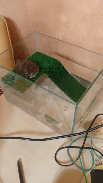 WhatsApp Image 2023-11-15 at 23.50.06.jpeg