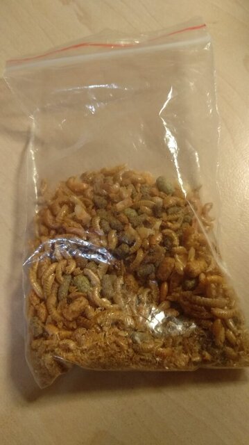 WhatsApp Image 2023-11-15 at 23.54.38.jpeg