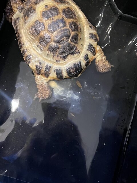 F287F2EE-E5D3-44FF-96D1-F88BA79785AB (wecompress.com).jpeg