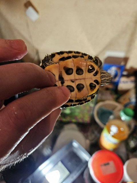 photo_2023-12-25_19-14-14 (3).jpg