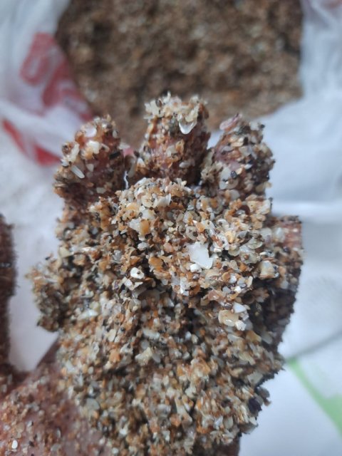 Изображение WhatsApp 2023-12-10 в 14.10.54_8926e144.jpg