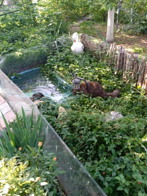 WhatsApp Image 2023-12-04 at 10.35.44.jpeg