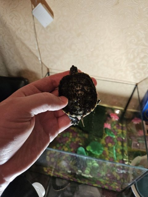 photo_2023-12-25_19-14-14 (2).jpg