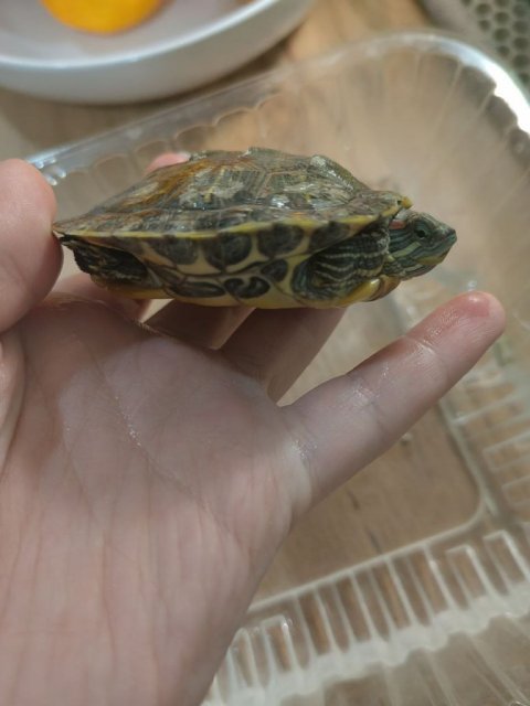 photo_2023-12-26_21-39-06 (2).jpg