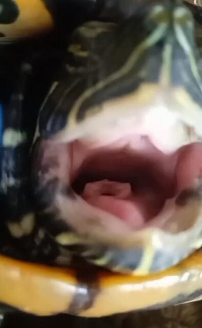 WhatsApp Image 2023-12-04 at 10.39.16.jpeg