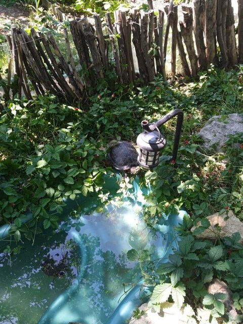 WhatsApp Image 2023-12-04 at 10.35.45.jpeg