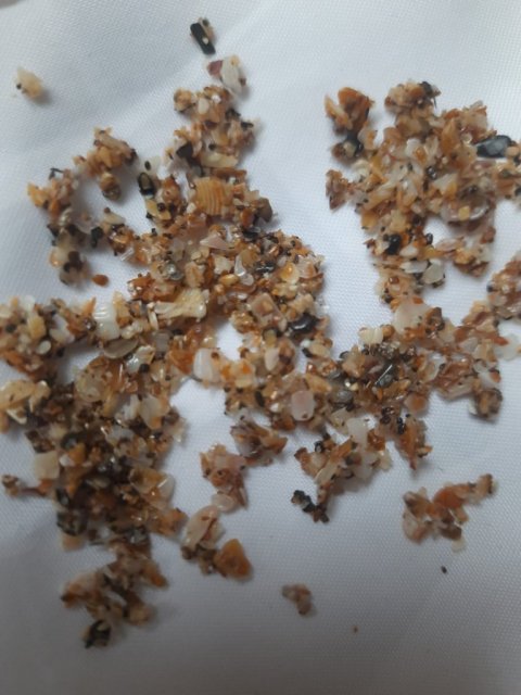 Изображение WhatsApp 2023-12-10 в 14.10.55_6dc6e1fa.jpg