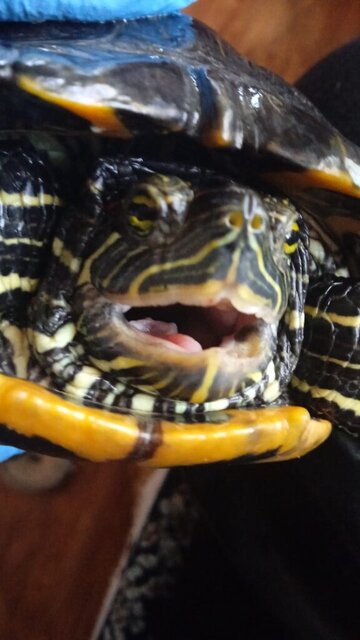 WhatsApp Image 2023-12-04 at 11.12.01.jpeg