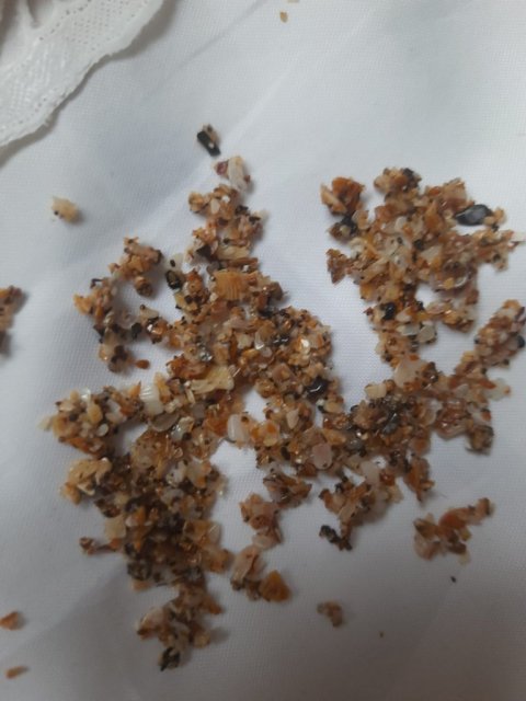 Изображение WhatsApp 2023-12-10 в 14.10.54_a6563ed0.jpg