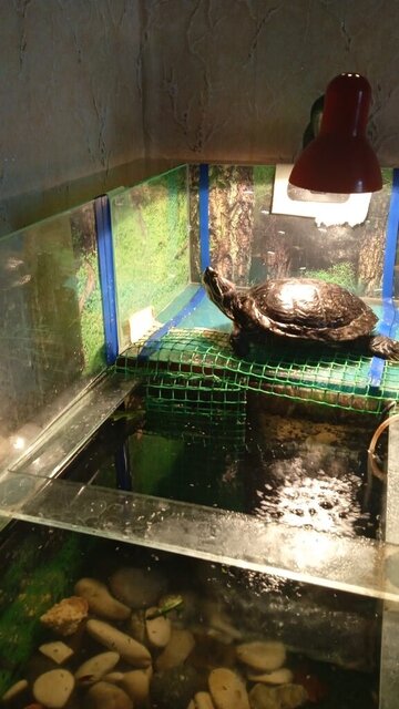 WhatsApp Image 2023-12-04 at 10.35.46 (1).jpeg