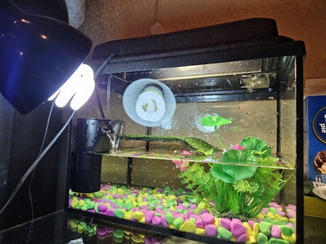 photo_2023-12-25_19-46-22 (2).jpg