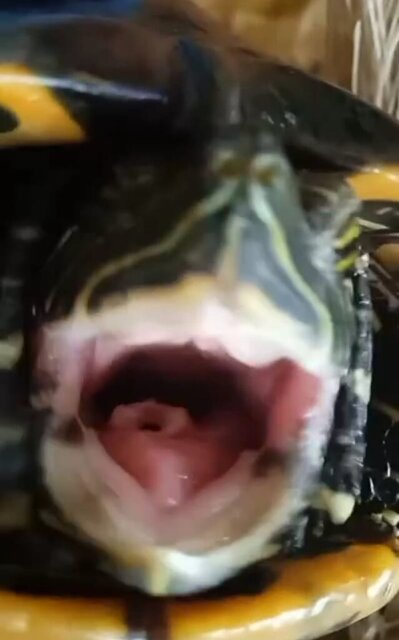 WhatsApp Image 2023-12-04 at 10.38.31.jpeg