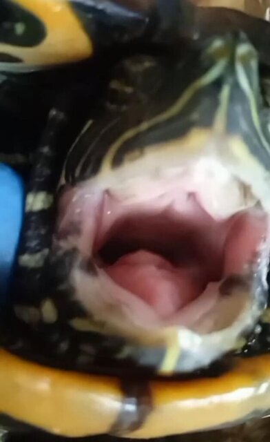 WhatsApp Image 2023-12-04 at 10.38.52.jpeg