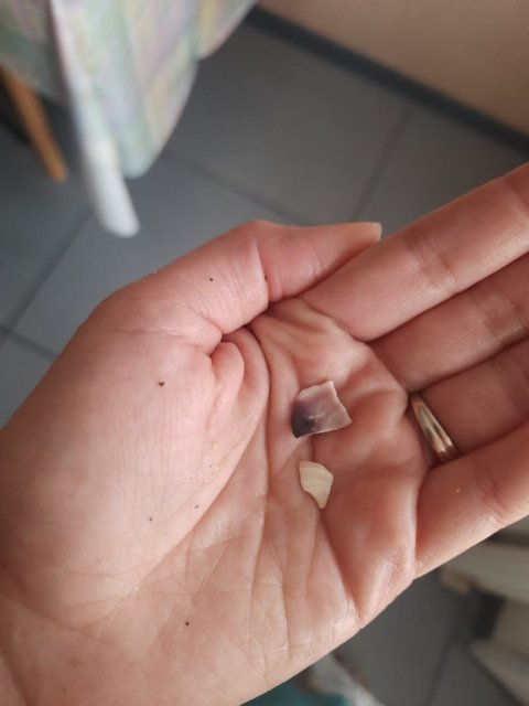 Изображение WhatsApp 2023-12-10 в 14.10.55_c644f1ef.jpg