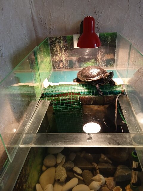 WhatsApp Image 2023-12-04 at 10.35.46.jpeg