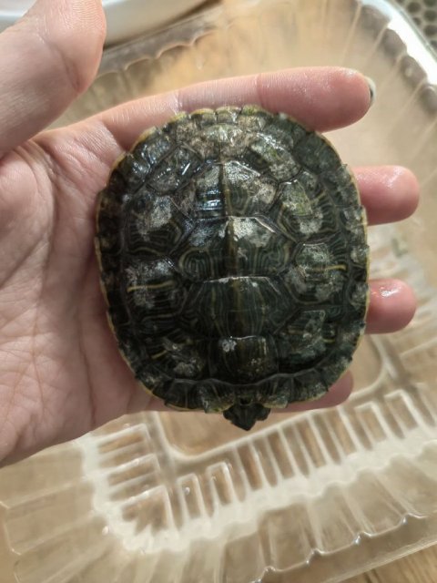 photo_2023-12-26_21-39-07 (2).jpg