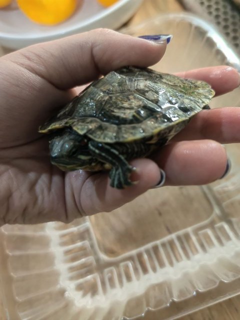 photo_2023-12-26_21-39-07 (3).jpg