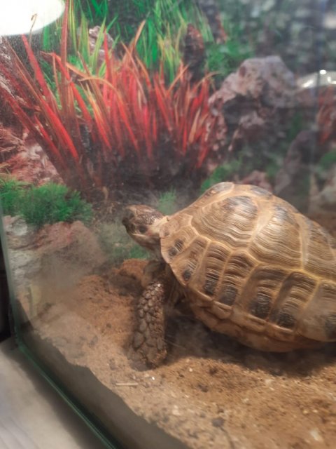 Изображение WhatsApp 2024-01-22 в 23.12.32_29c20cd6.jpg