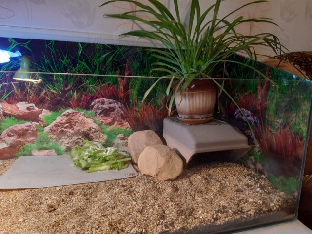 Изображение WhatsApp 2024-01-22 в 23.04.30_3603ebc3.jpg